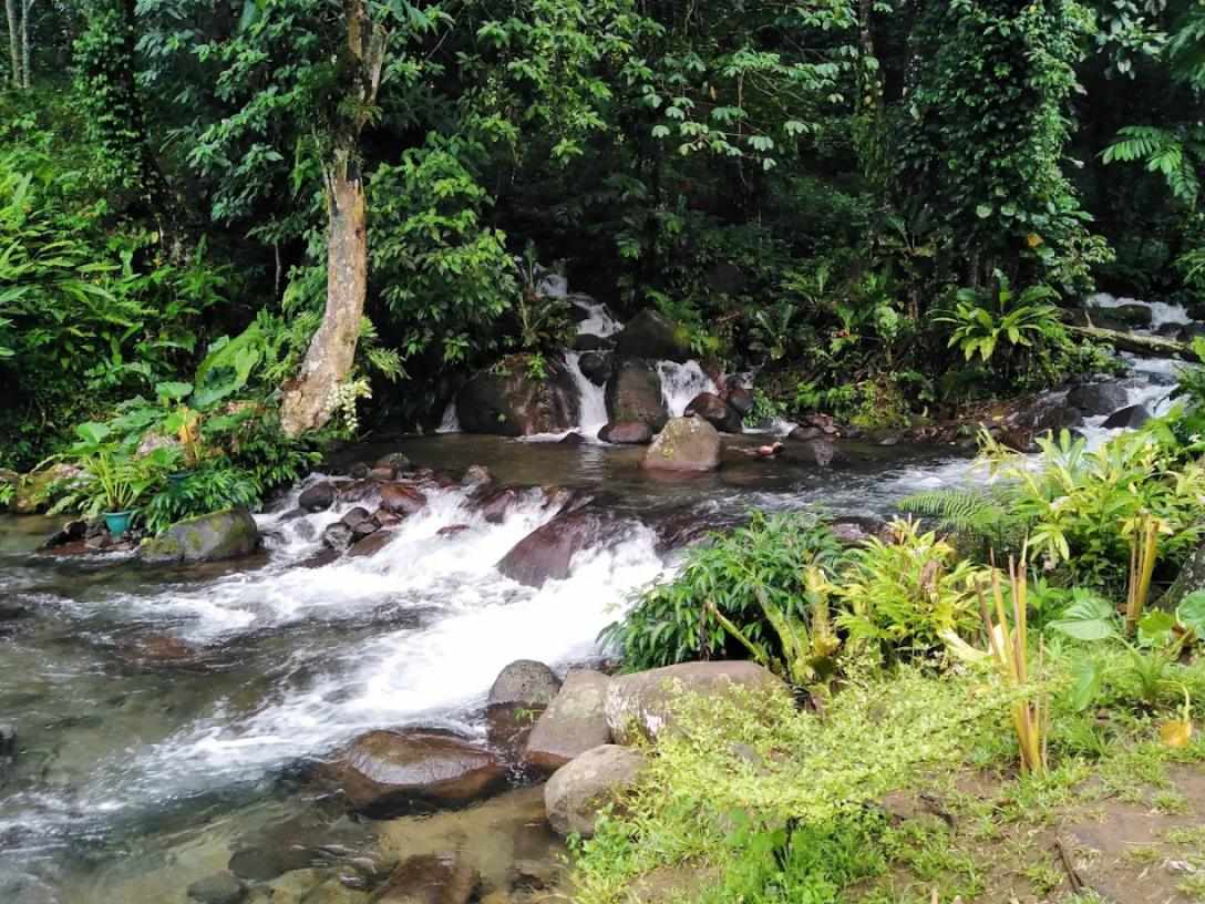Sinulom Falls at Bolao Cold Spring: Likas na Yaman ng CDO at Bukidnon