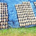 295 hand grenade, narekober sa Lanao del Sur