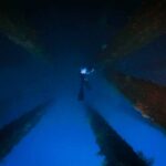 Freediving Activity atul sa City Nature Challenge 2026, gipahigayon