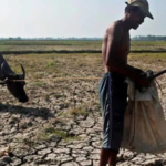 ₱38.39M pinsala sa agrikultura sa Maguindanao tungod sa tagtuyot, 810 ka mag-uuma apektado