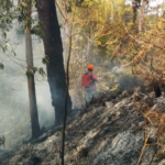 33 ka Forest Fire naitala sa Malaybalay City