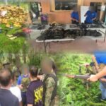 Ex-Barangay Chairman ug apo niini, tsugi sa engkwentro sa MagNor