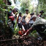 Peat Guided Walk sa Caimpugan Peat Swamp Forest, malampusong gipahigayon