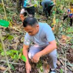 Tree Growing Activity, gipahigayon