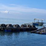 15 pickleball-inspired artificial coral reef, gi-instalar sa Liboganon