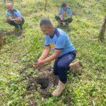 Tree Planting Activity, gipahigayon sa DavSur