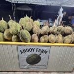 Durian Festival Pre-Event Selling, gisugdan na sa Rotary Park!