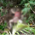 Foul play sa kamatayon sa 2-anyos nga si Ian Miñoza, nakumpirma human migawas ang resulta sa otopsiya