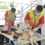 Free Veterinary Services, gipahigayon sa Tagum