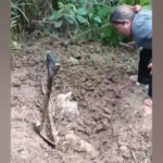 Inahan nga missing sa Agusan del Sur, napalgan na lang nga gilubong na