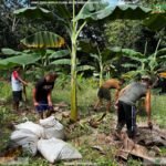 Lokal nga Pangagamhanan sa Probinsya sa Misamis Occidental ug DSWD, mipahigayon ug Food-for-Work alang sa Friends Rescued (FRs)