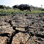 State of calamity sa Agusan del Sur, mugna sa krisis sa tubig nga naka-apekto sa agrikultura
