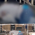 Duha ka patay’ng lawas nakaplagan sa mga otoridad ning Dakbayan sa Malaybalay