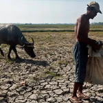 South Cotabato, nagapadayon sa paghatag sang binhi, abuno kag pinansyal nga bulig sa mga mangunguma batok sa Super El Niño