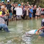 Gihimong paghusay sa tribung B’laan sa ilang duha ka sakop nga misangko sa kamatayon, wala na sa panahon