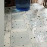 Fly infestation sa Brgy Los Angeles, Butuan City, mimenos na