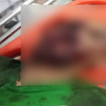 54-anyos nga mag-uuma, patay human sungaga sa kabaw sa Don Carlos, Bukidnon